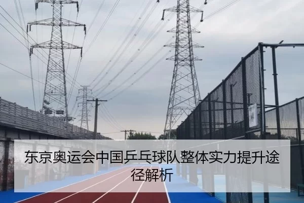 东京奥运会中国乒乓球队整体实力提升途径解析
